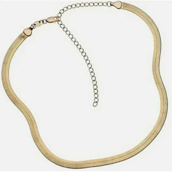Jennifer Zeuner Gold Herringbone Necklace 16” | Dainty | NWT - Picture 6 of 15